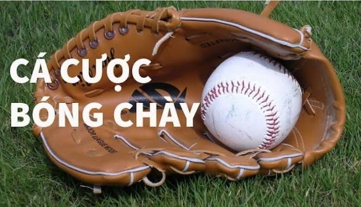 Hướng dẫn đọc các loại kèo bóng chày phổ biến cho người mới